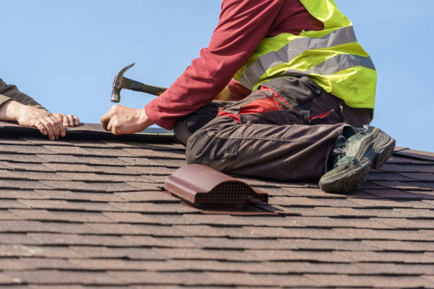 Best Roof Maintenance Services  in Alma, NE