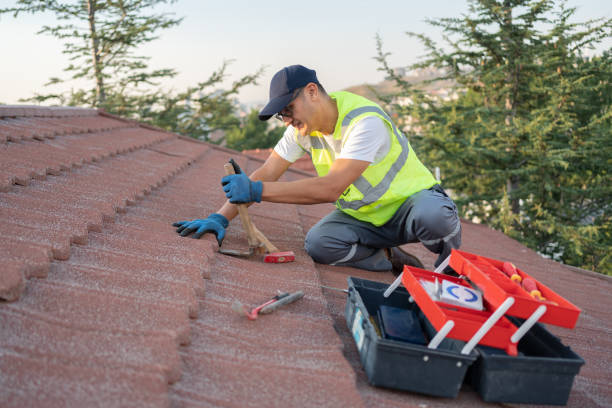 Best Commercial Roofing Services  in Alma, NE