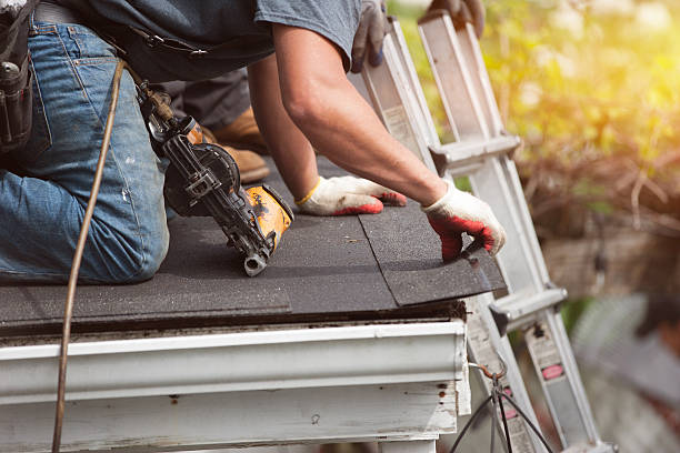 Best Metal Roofing Contractor  in Alma, NE