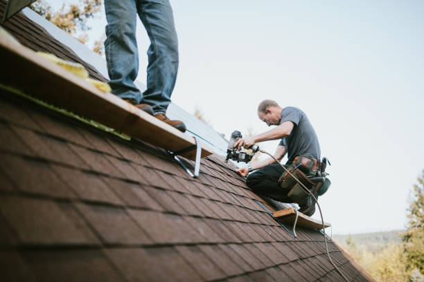 Best Local Roofing Companies  in Alma, NE