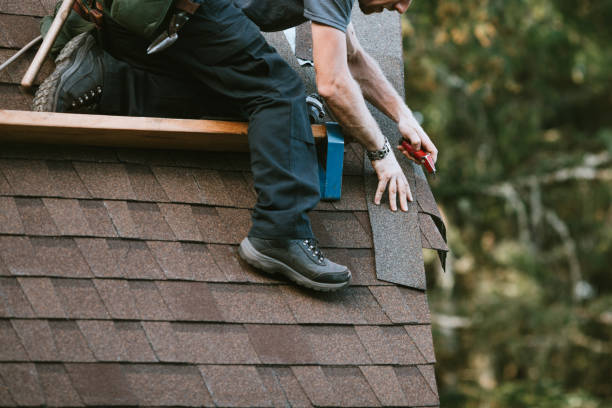 Best Roof Waterproofing Services  in Alma, NE